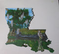 Louisiana Boot Art Swamp Owl