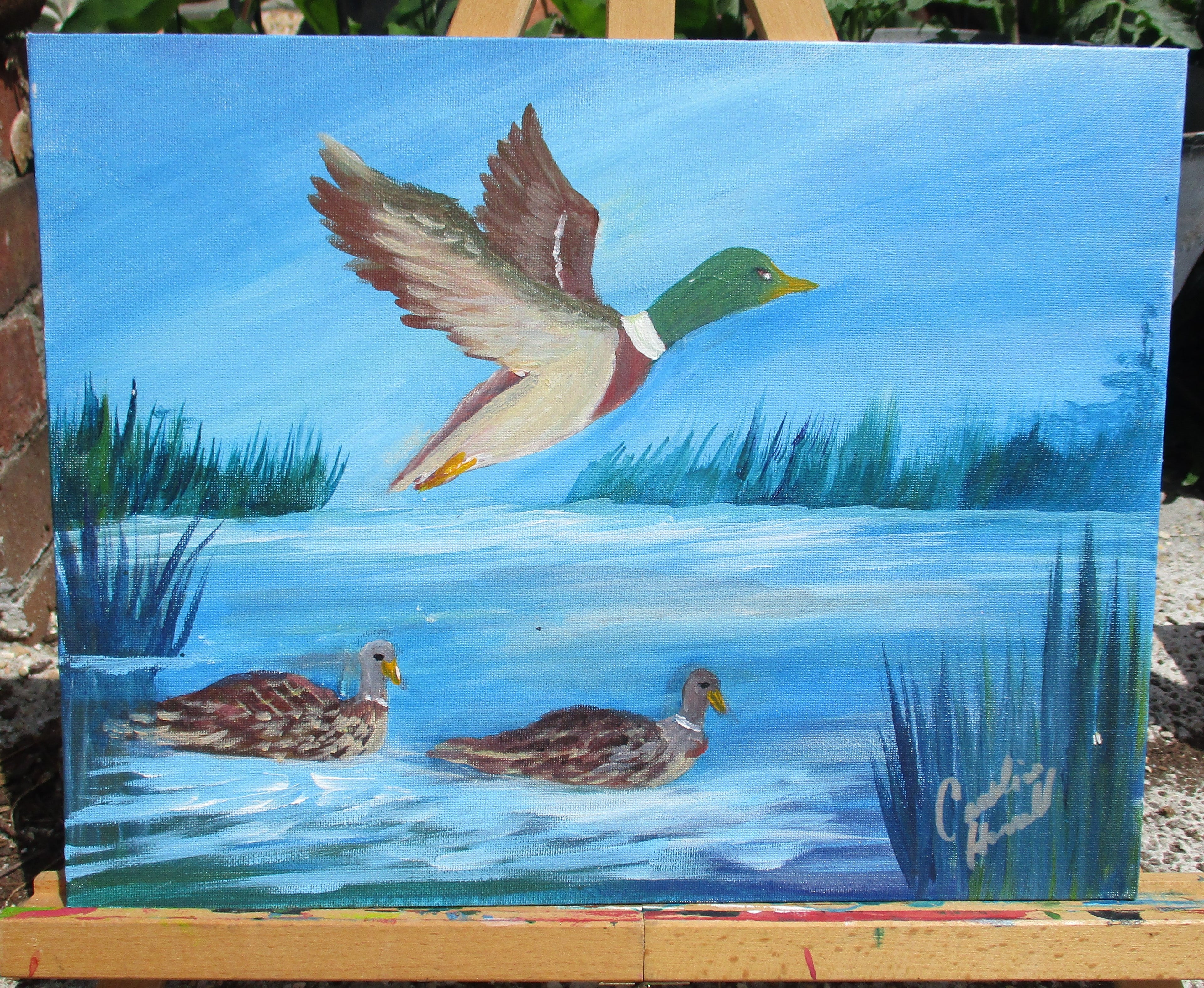 Painting Canvas Art Ducks Pond 11x14