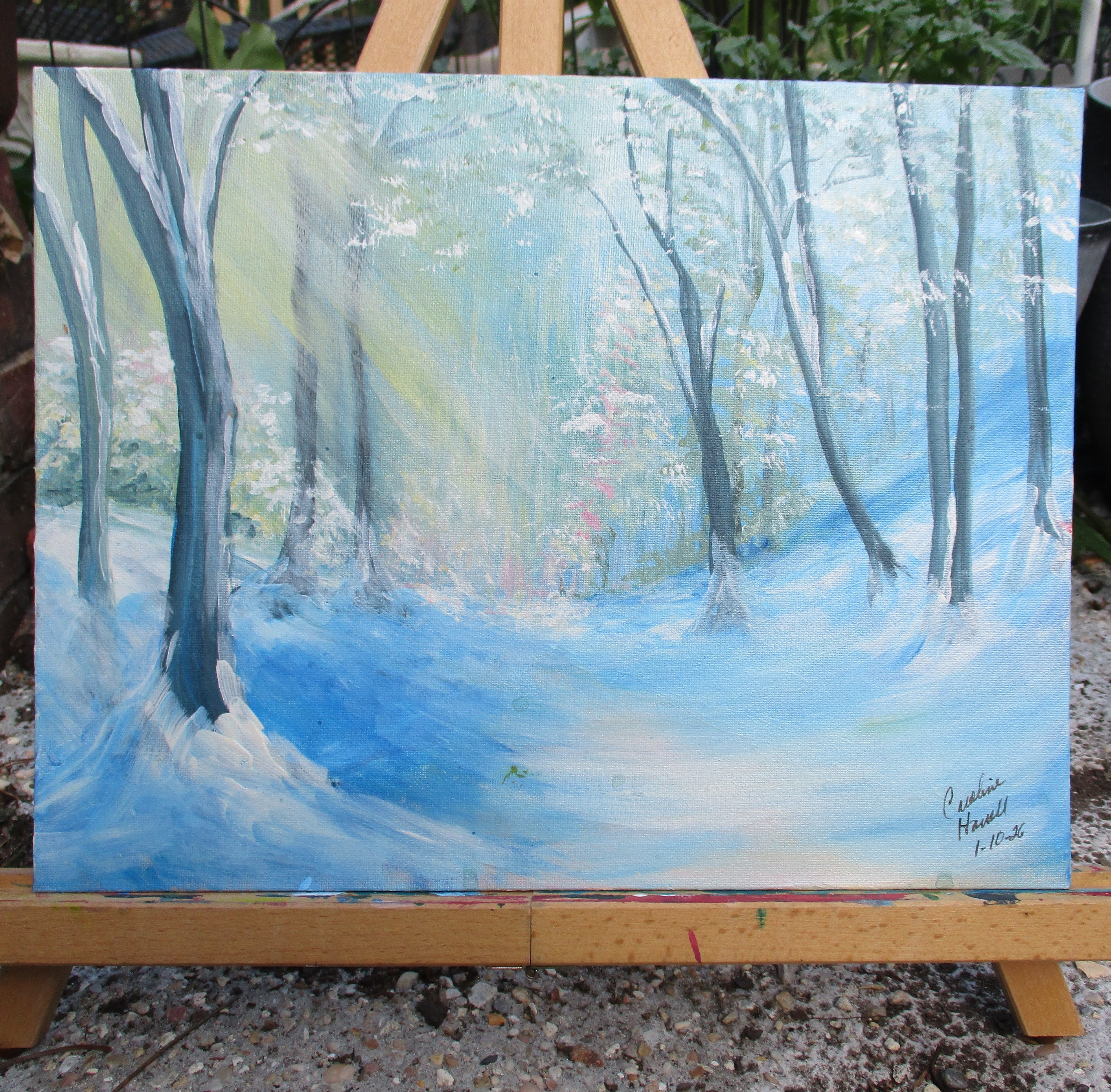 Art Painting Canvas Panel Unframed Sunlight on Wilderness Trail