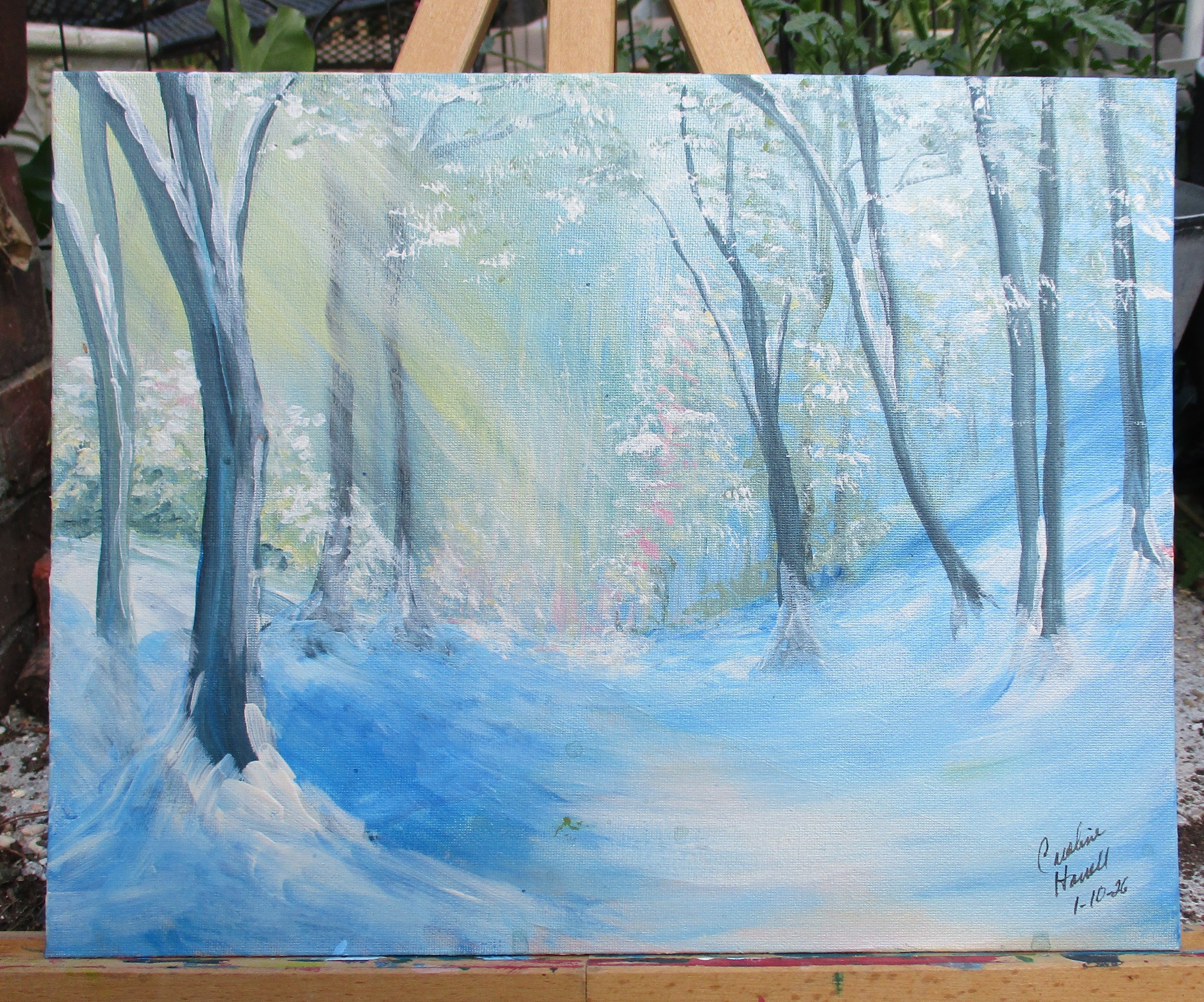 Art Painting Canvas Panel Unframed Sunlight on Wilderness Trail