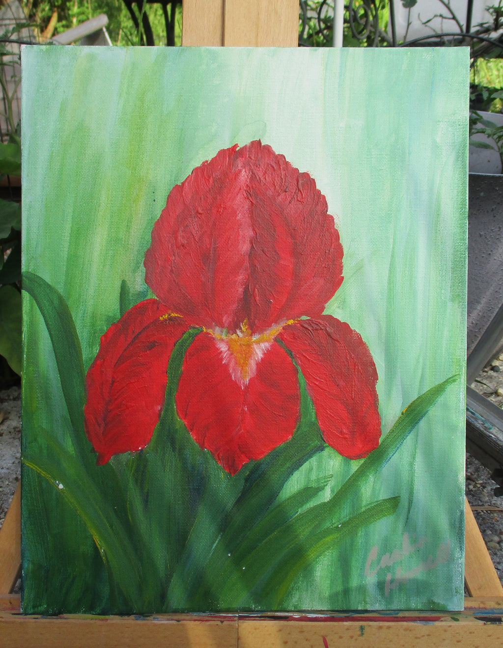 Painted Canvas Art 2 piece Iris Flowers each 11x14 unframed