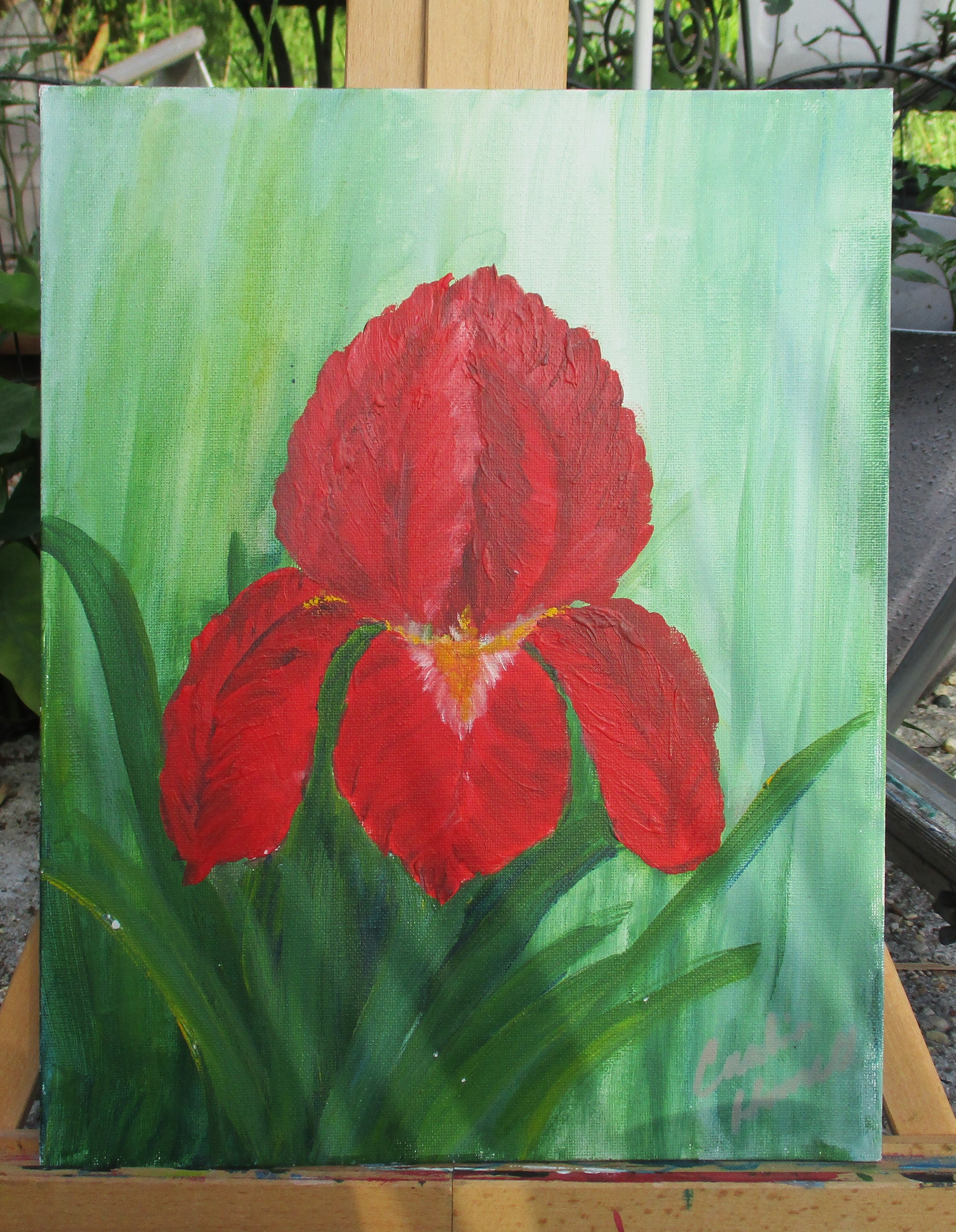 Painted Canvas Art 2 piece Iris Flowers each 11x14 unframed
