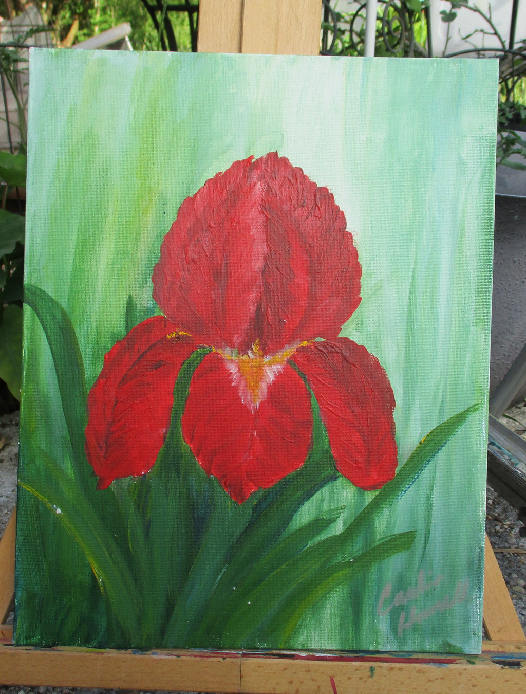 Painted Canvas Art 2 piece Iris Flowers each 11x14 unframed