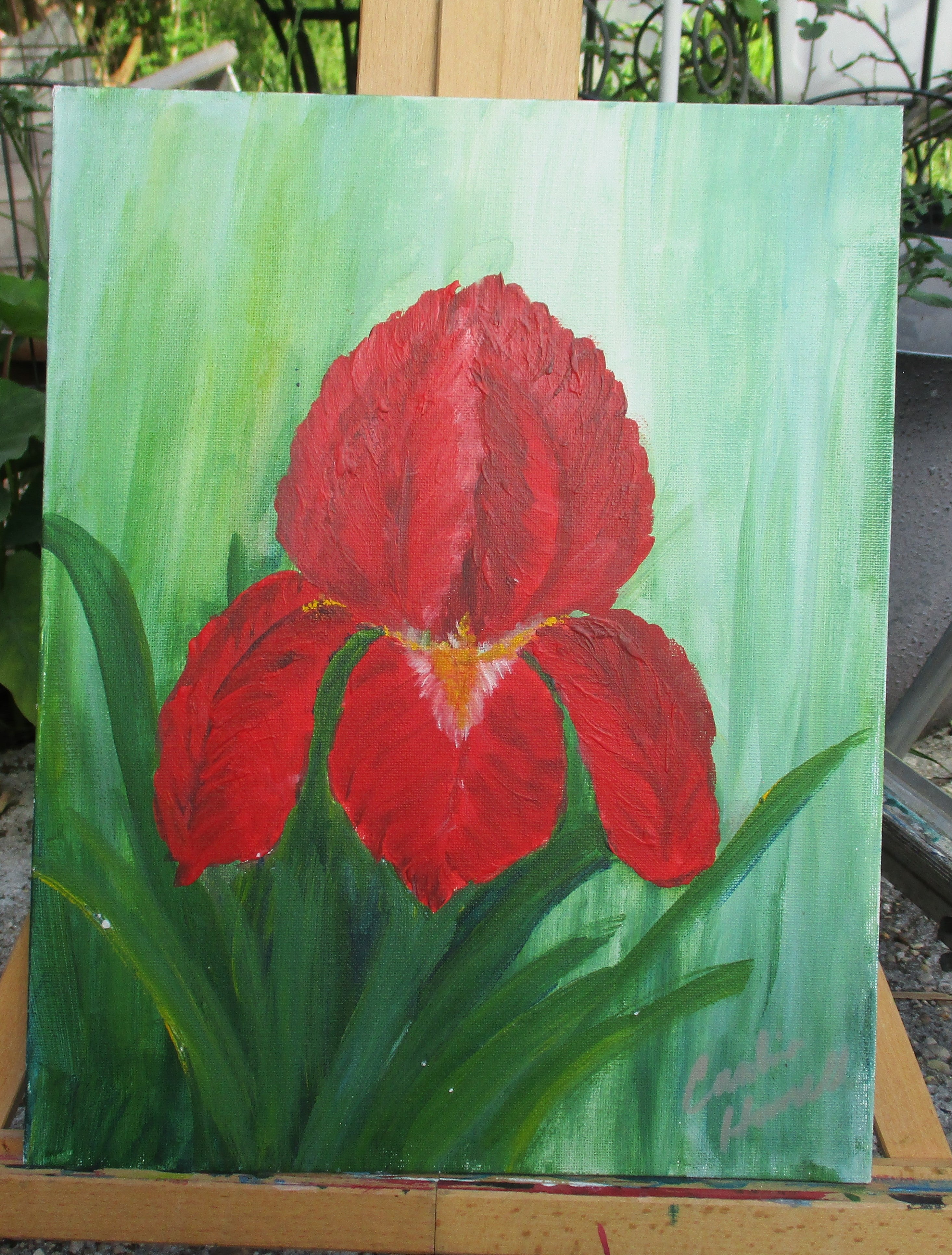 Painted Canvas Art 2 piece Iris Flowers each 11x14 unframed