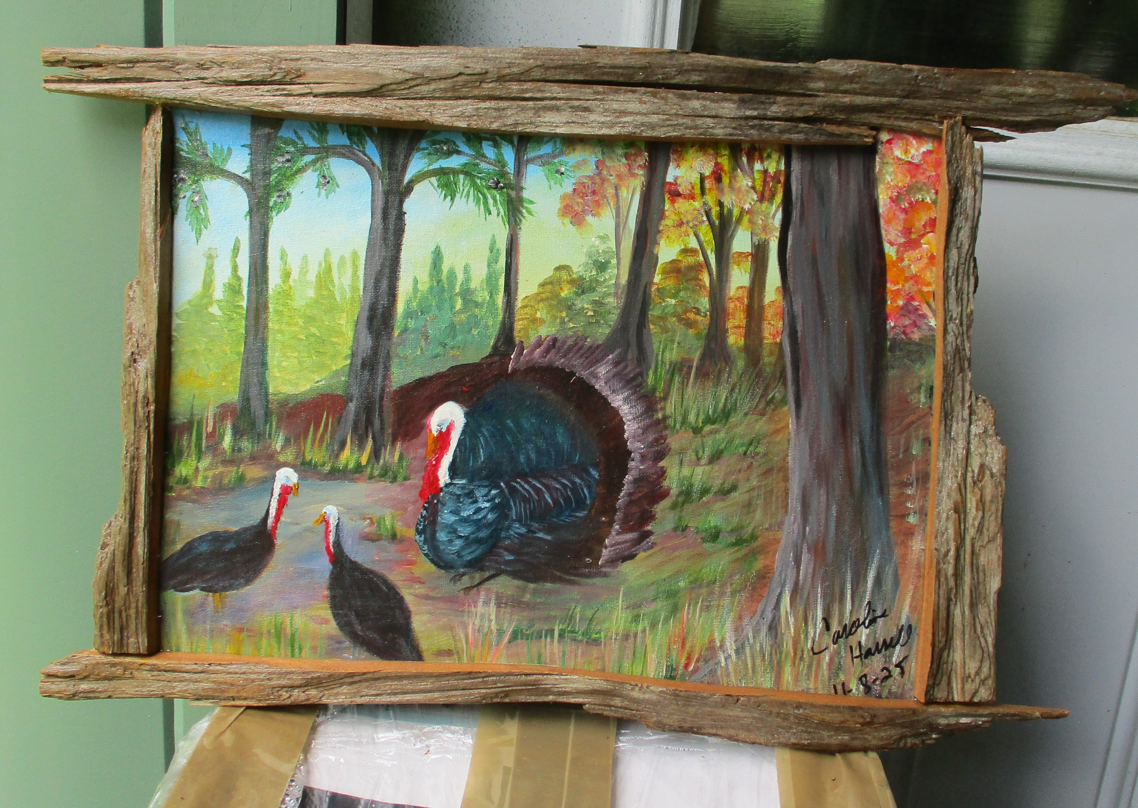 Driftwood framed turkey painting 13x18