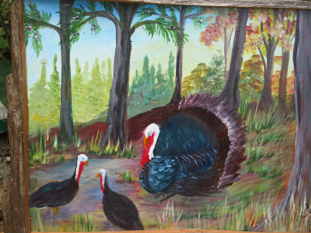 Driftwood framed turkey painting 13x18