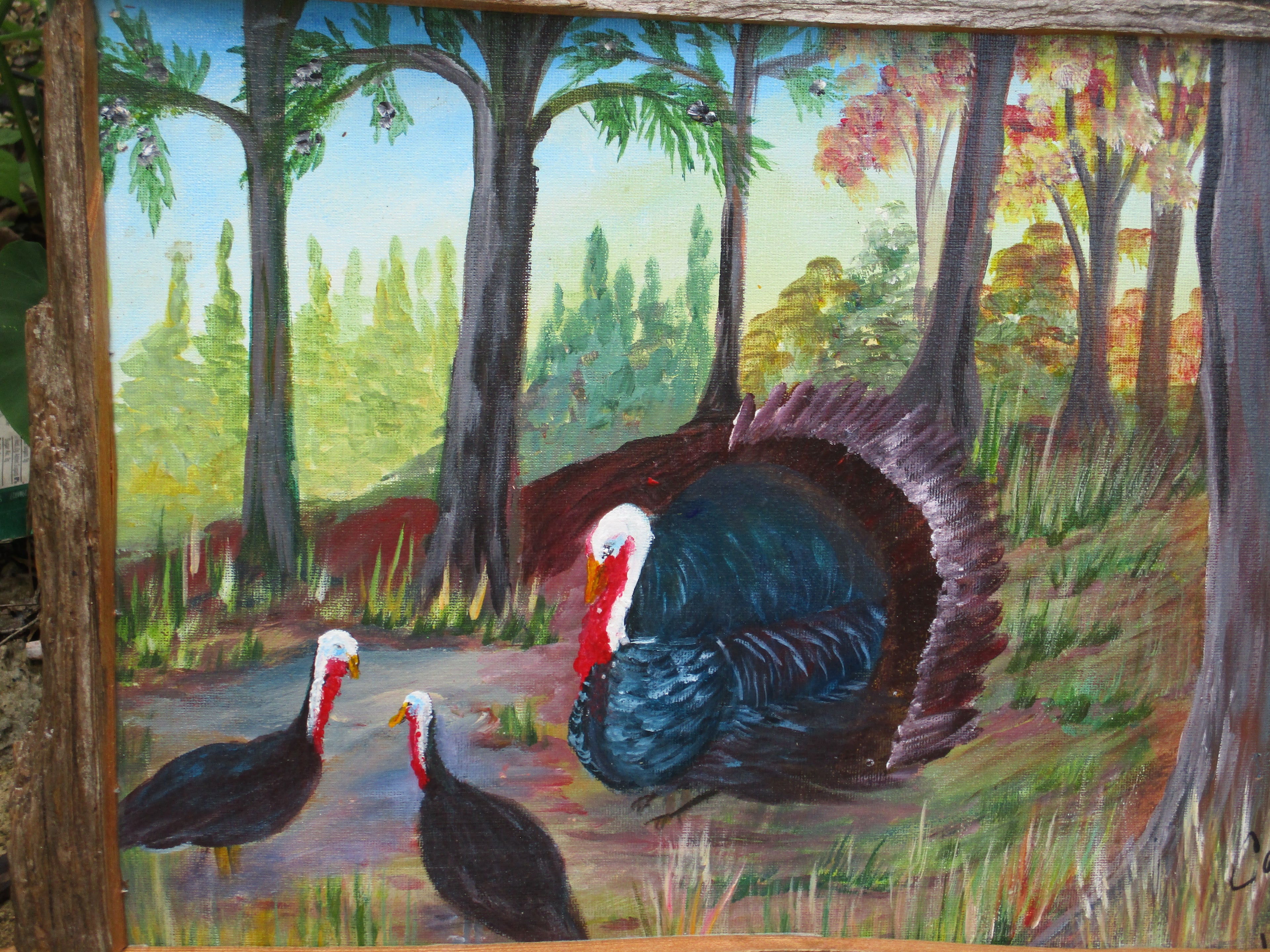 Driftwood framed turkey painting 13x18