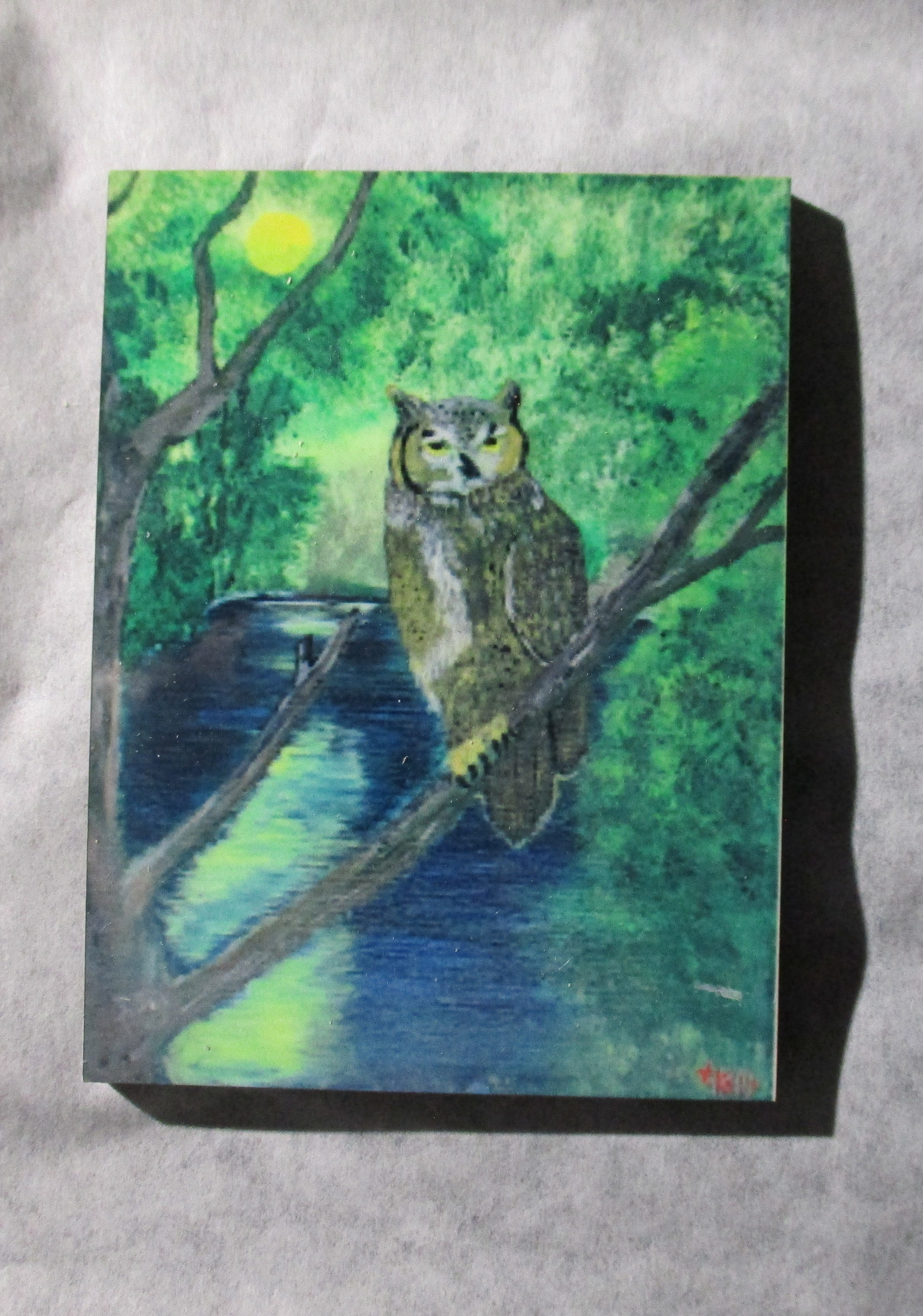 mini art magnet owl in tree on river