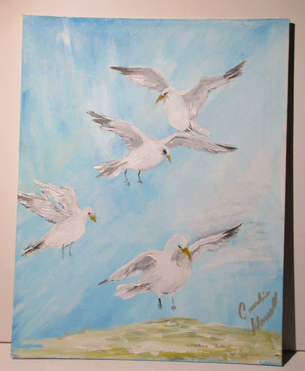 Flock of seagull birds ready for food original art canvas panel unframed