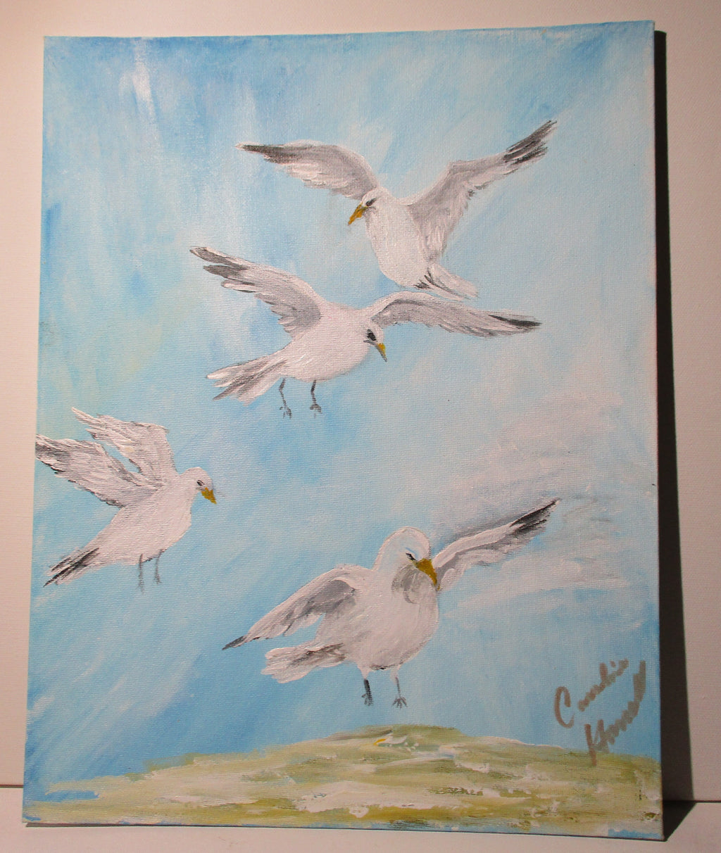 Flock of seagull birds ready for food original art canvas panel unframed