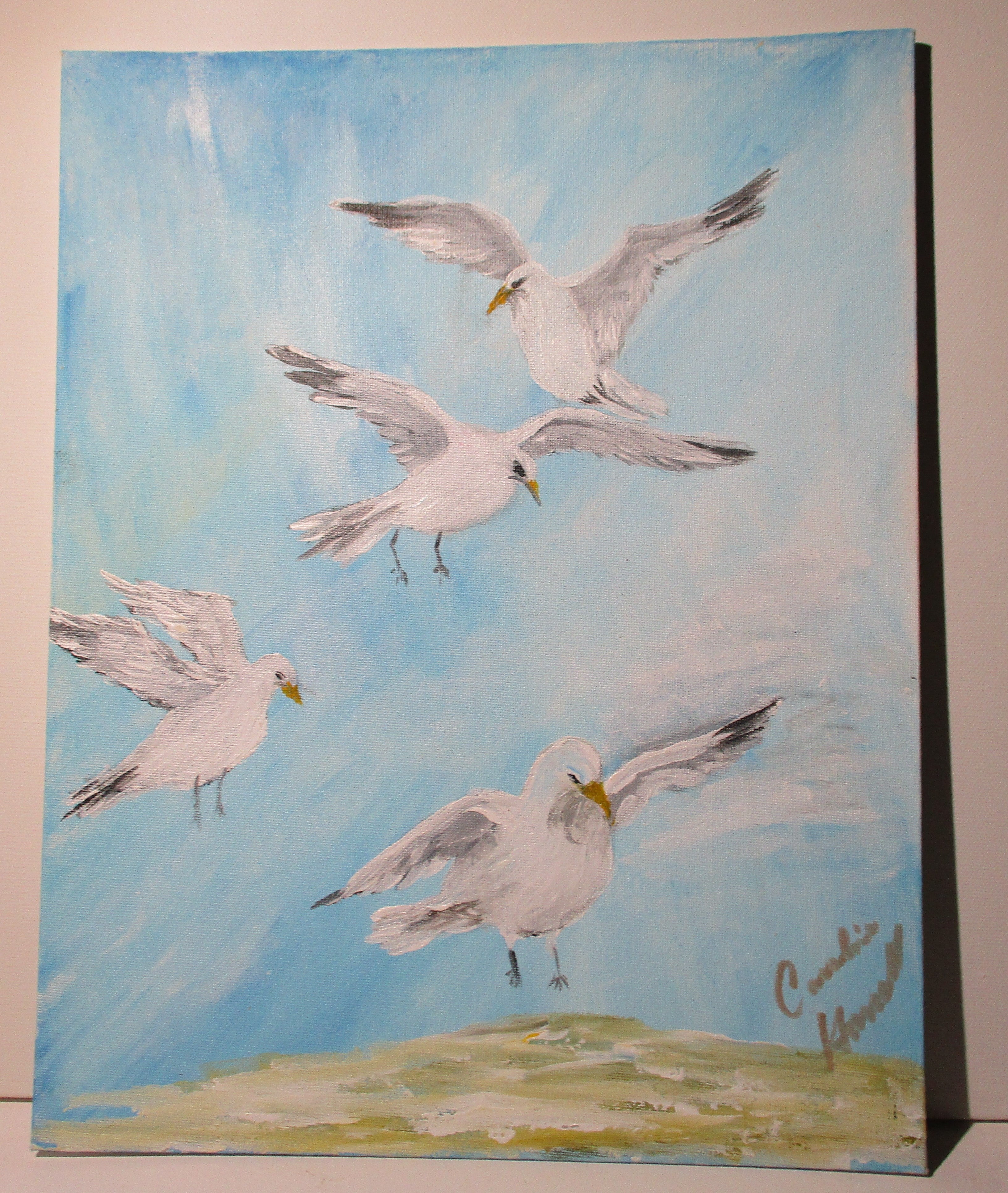 Flock of seagull birds ready for food original art canvas panel unframed