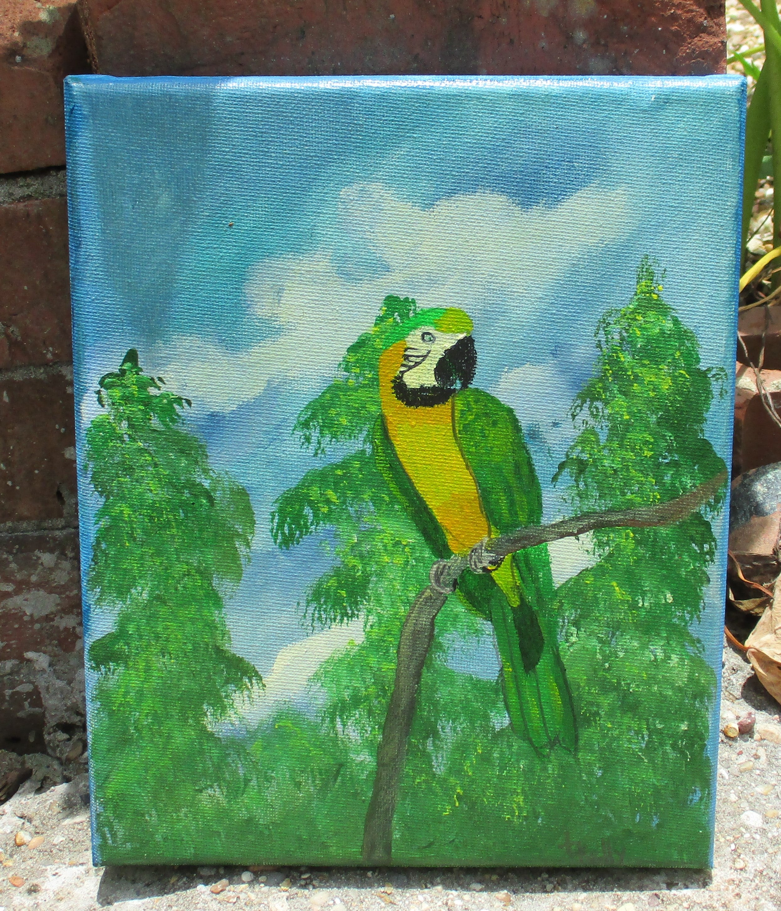 Parrot in jungle acrylic painting art stretched frame canvas 8x10