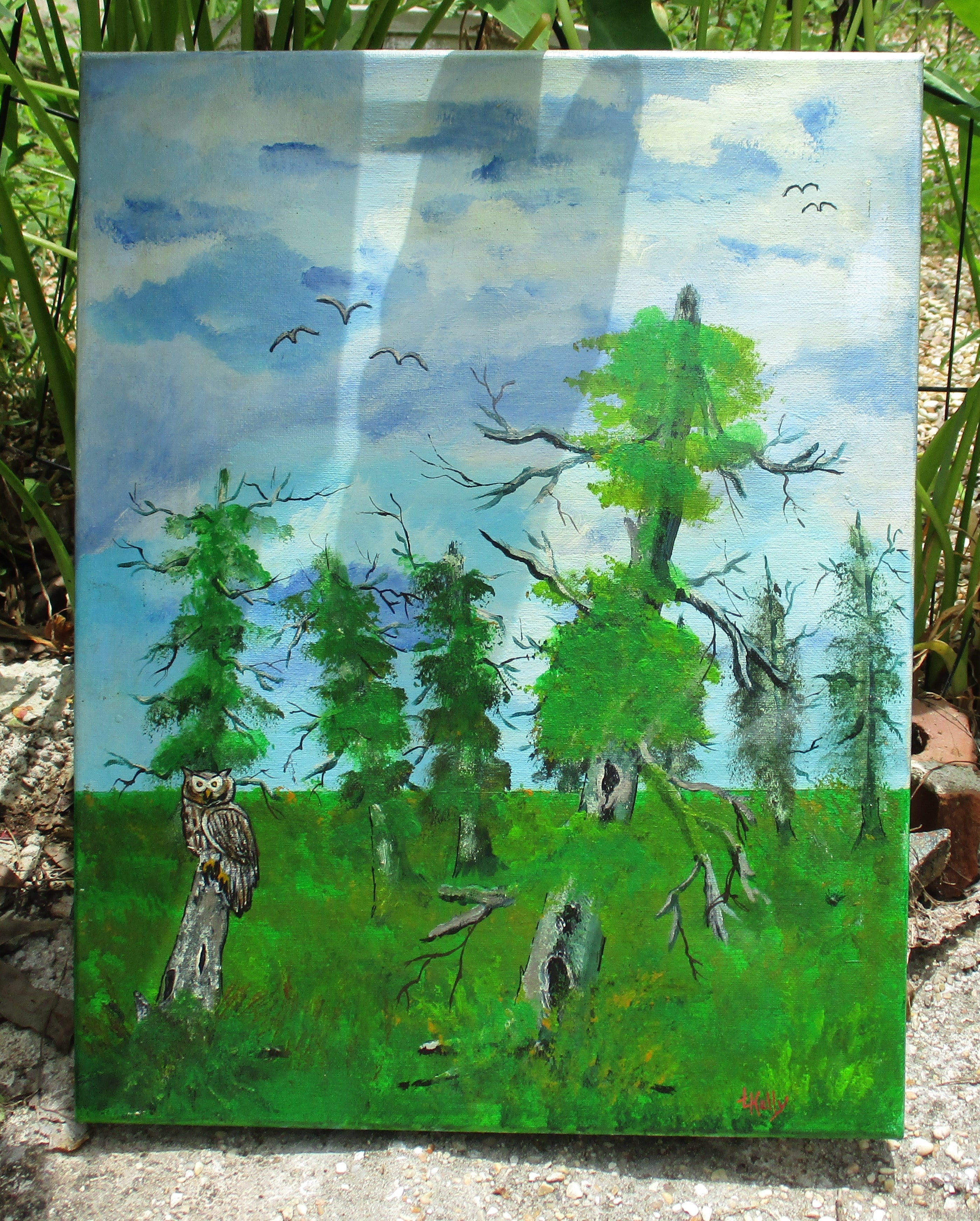 Owl in swamp 12x18 stretched canvas art painting