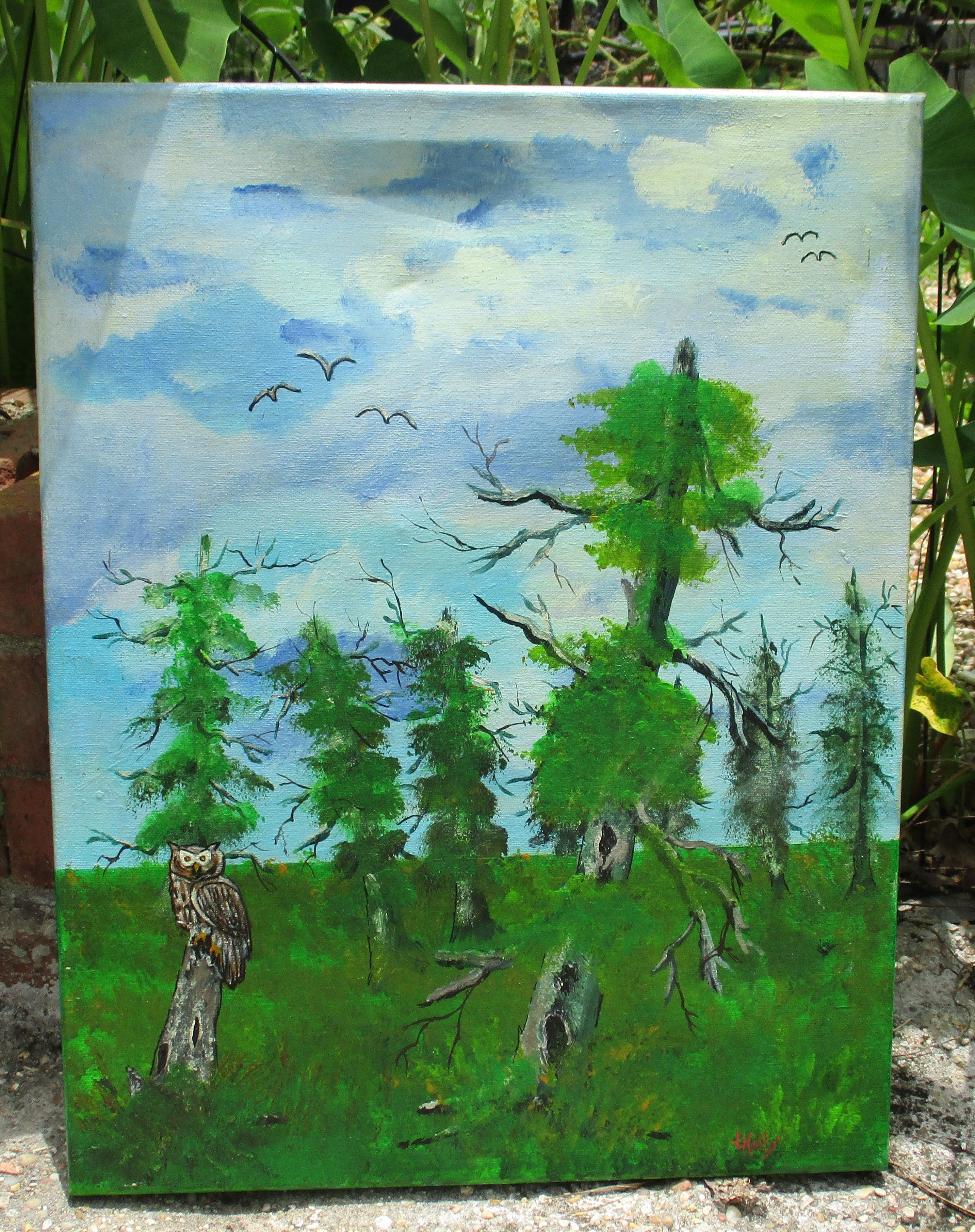 Owl in swamp 12x18 stretched canvas art painting