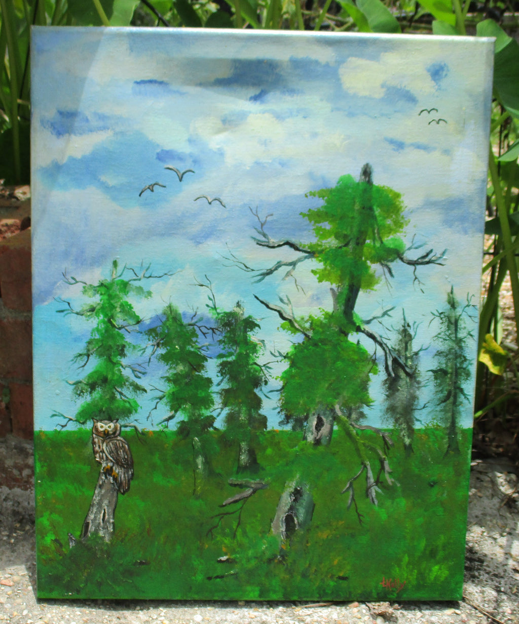 Owl in swamp 12x18 stretched canvas art painting
