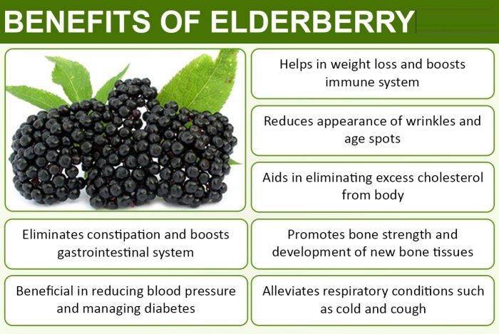 Elderberry Jelly